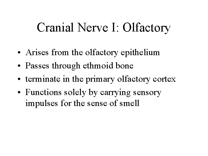 Cranial Nerve I: Olfactory • • Arises from the olfactory epithelium Passes through ethmoid