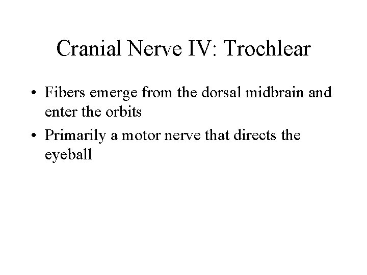 Cranial Nerve IV: Trochlear • Fibers emerge from the dorsal midbrain and enter the