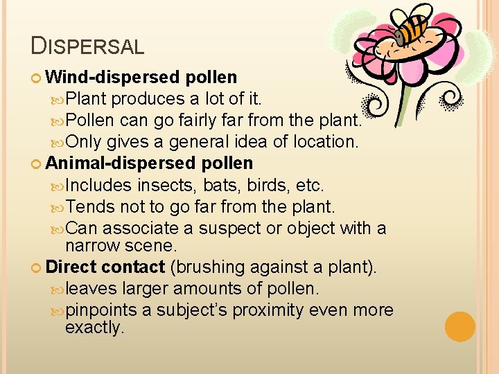 DISPERSAL Wind-dispersed pollen Plant produces a lot of it. Pollen can go fairly far
