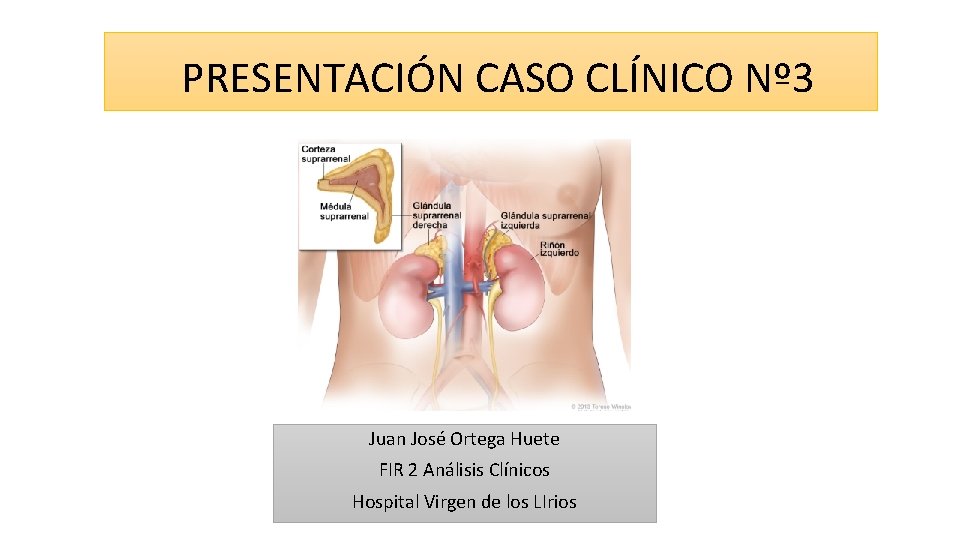 PRESENTACIÓN CASO CLÍNICO Nº 3 Juan José Ortega Huete FIR 2 Análisis Clínicos Hospital