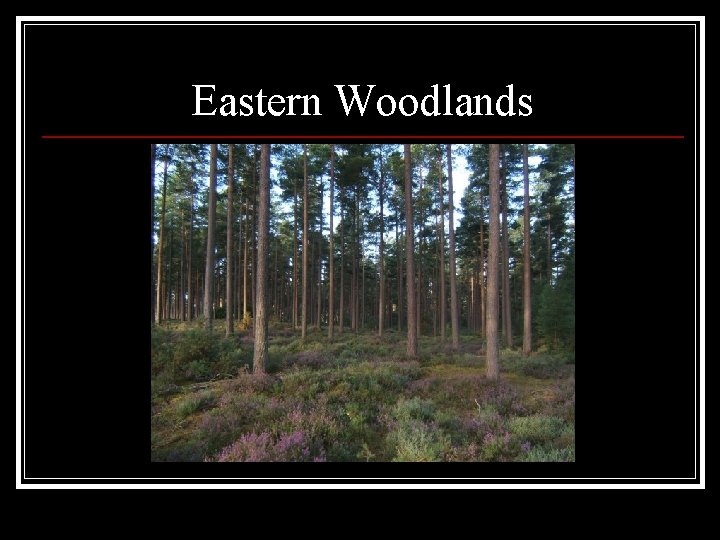 Eastern Woodlands 