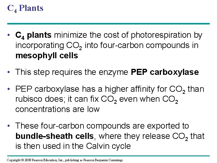 C 4 Plants • C 4 plants minimize the cost of photorespiration by incorporating C 4 Plants • C 4 plants minimize the cost of photorespiration by incorporating