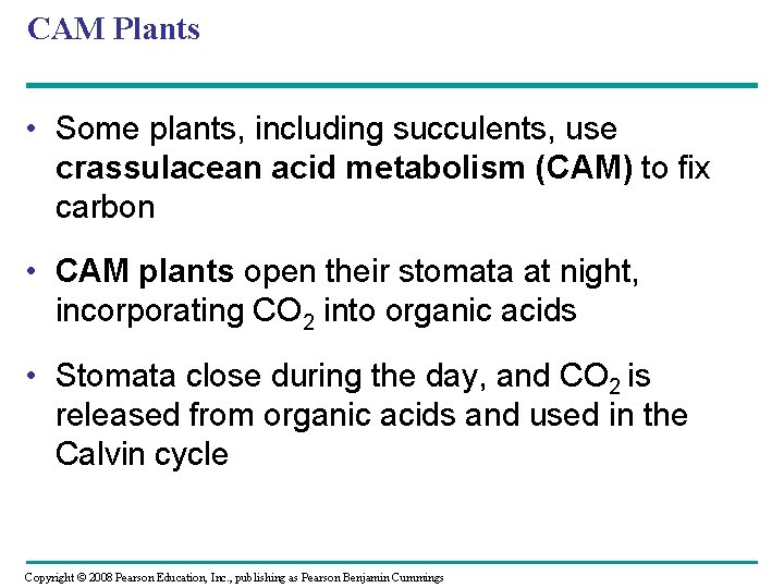 CAM Plants • Some plants, including succulents, use crassulacean acid metabolism (CAM) to fix CAM Plants • Some plants, including succulents, use crassulacean acid metabolism (CAM) to fix