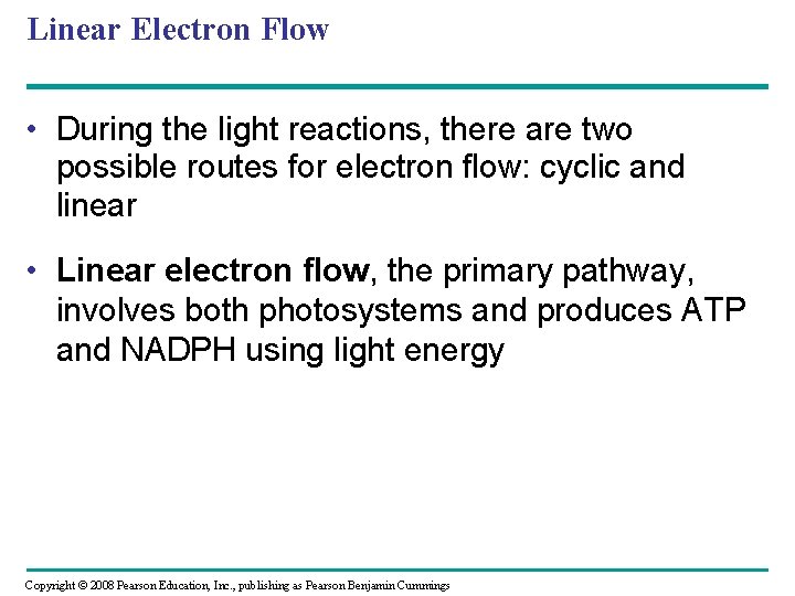 Linear Electron Flow • During the light reactions, there are two possible routes for Linear Electron Flow • During the light reactions, there are two possible routes for