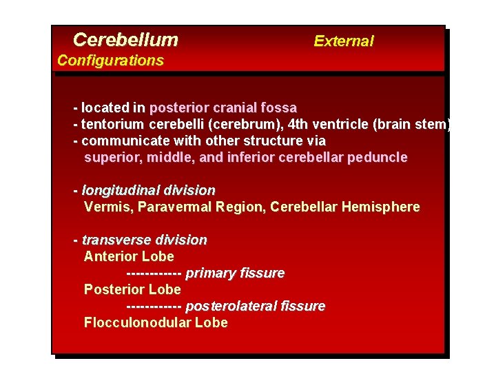 Cerebellum External Configurations - located in posterior cranial fossa - tentorium cerebelli (cerebrum), 4