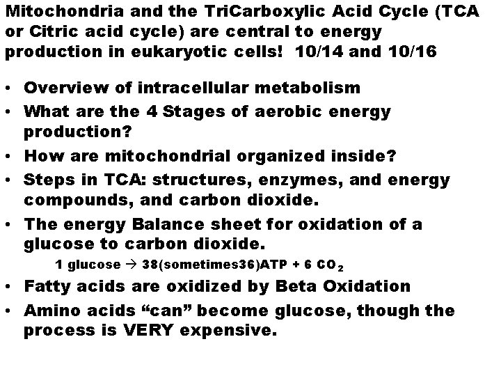 Mitochondria and the Tri. Carboxylic Acid Cycle (TCA or Citric acid cycle) are central
