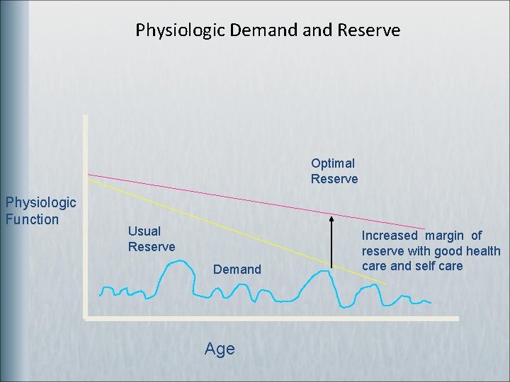 Physiologic Demand Reserve Optimal Reserve Physiologic Function Usual Reserve Demand Age Increased margin of