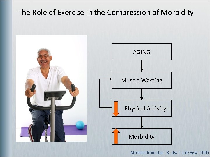 The Role of Exercise in the Compression of Morbidity AGING Muscle Wasting Physical Activity