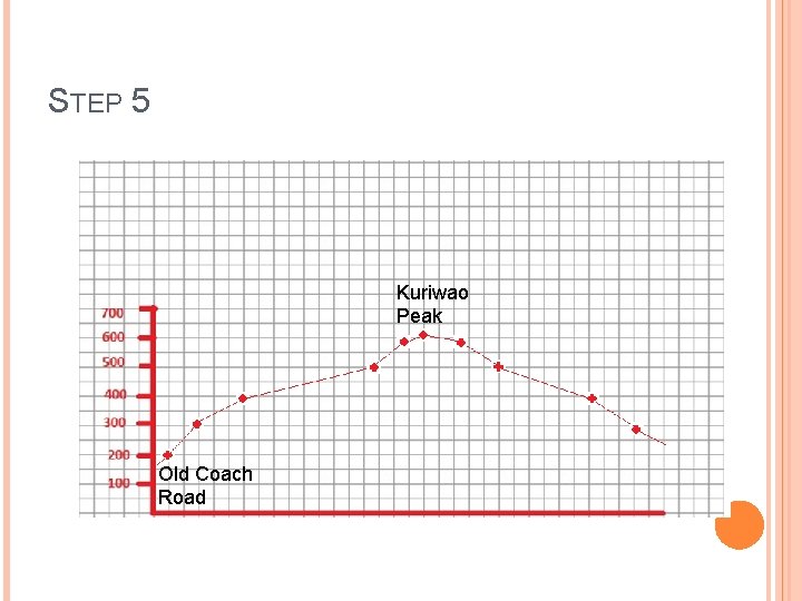 STEP 5 Kuriwao Peak Old Coach Road 