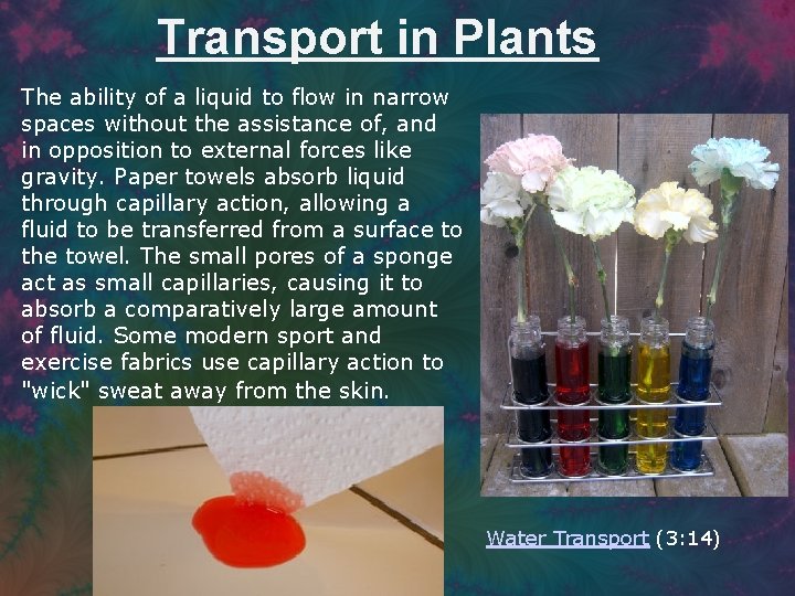 Transport in Plants The ability of a liquid to flow in narrow spaces without