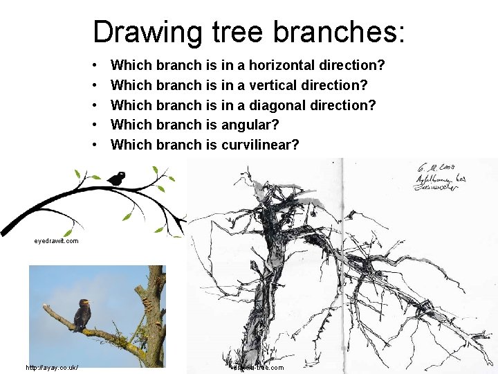 Drawing tree branches: • • • Which branch is in a horizontal direction? Which