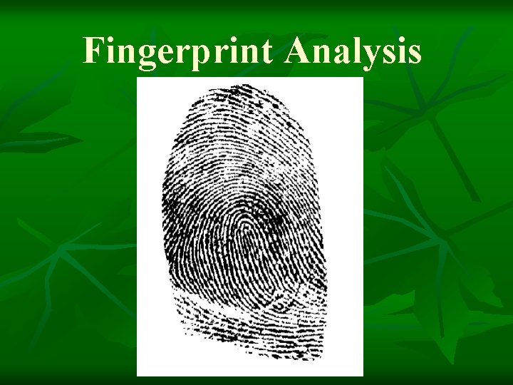 Fingerprint Analysis 