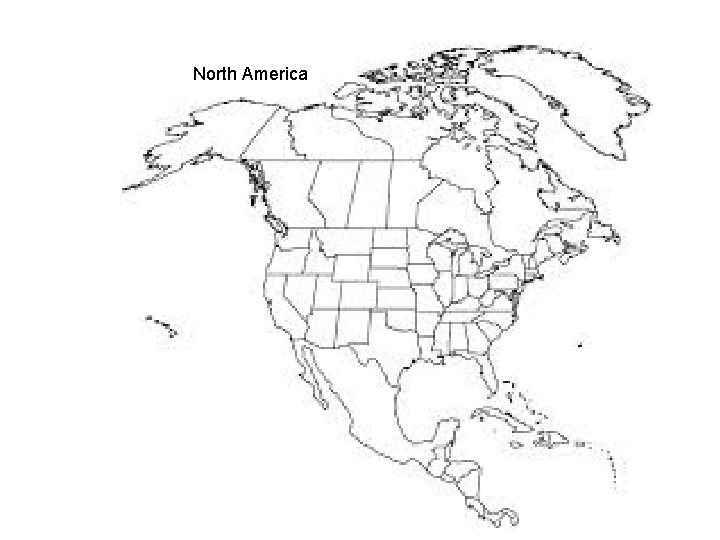 North America 