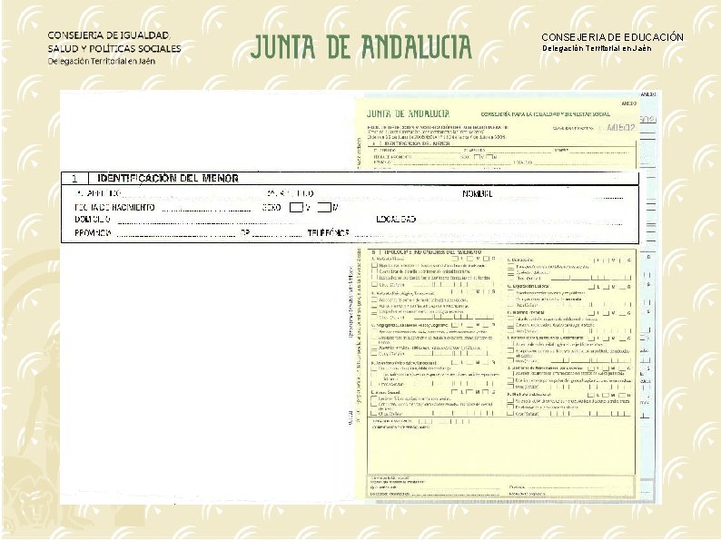 CONSEJERIA DE EDUCACIÓN Delegación Territorial en Jaén 