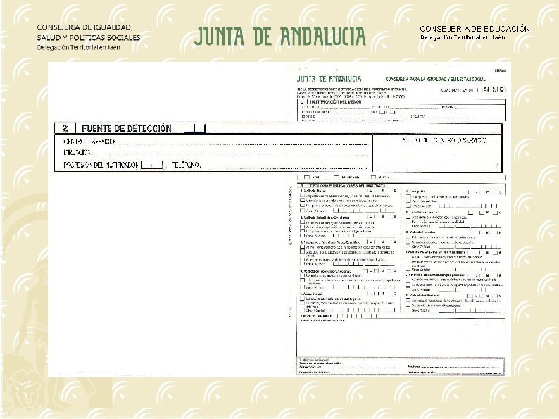 CONSEJERIA DE EDUCACIÓN Delegación Territorial en Jaén 