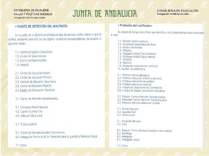 CONSEJERIA DE EDUCACIÓN Delegación Territorial en Jaén 