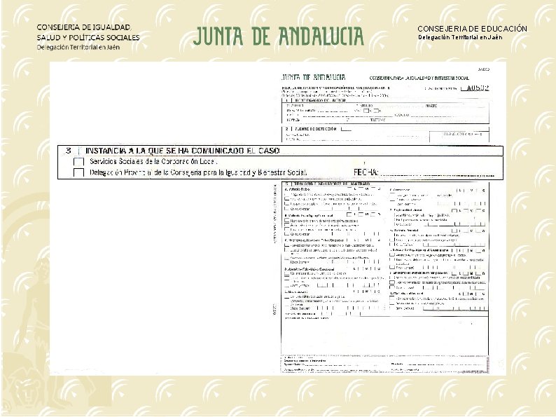 CONSEJERIA DE EDUCACIÓN Delegación Territorial en Jaén 