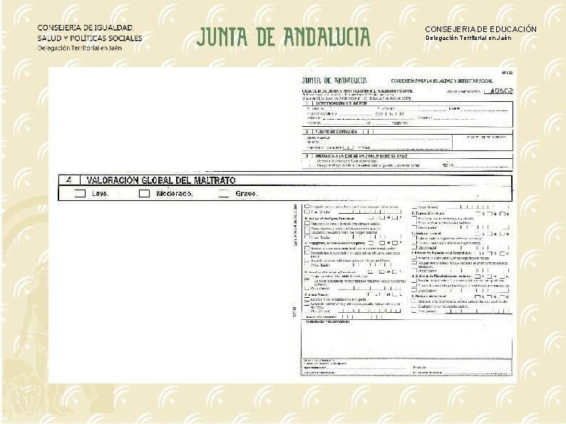 CONSEJERIA DE EDUCACIÓN Delegación Territorial en Jaén 