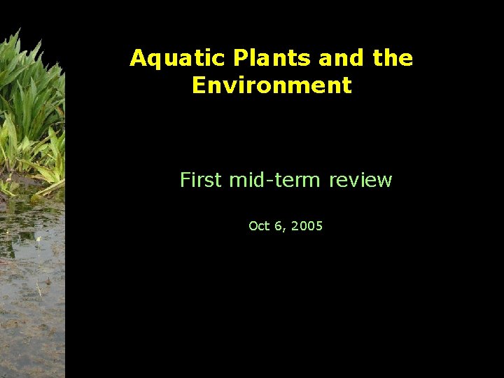 Aquatic Plants and the Environment First mid-term review Oct 6, 2005 