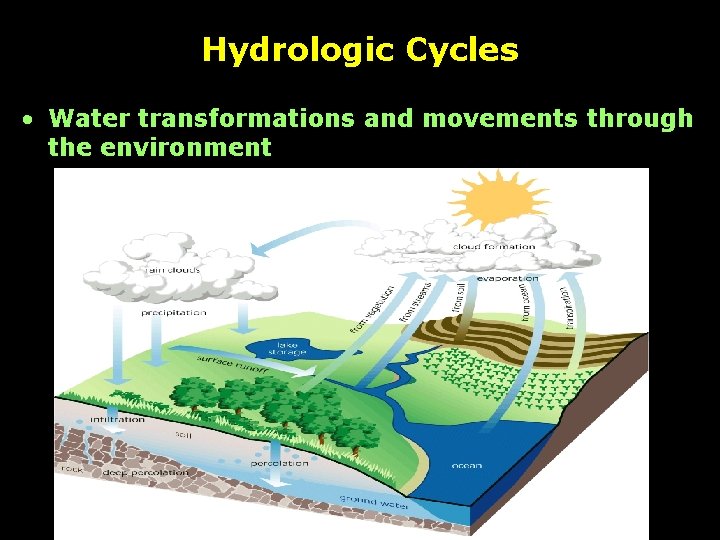 Hydrologic Cycles • Water transformations and movements through the environment 
