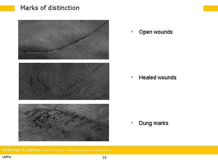 Marks of distinction • Open wounds • Healed wounds • Dung marks IDdesign Academy