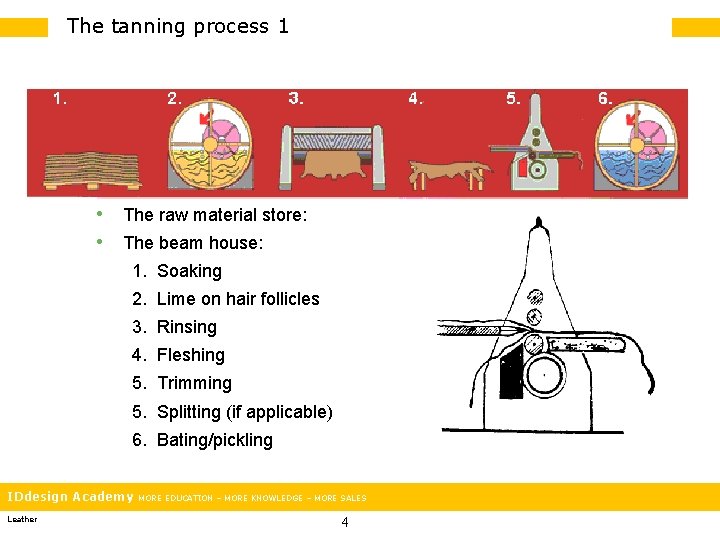 The tanning process 1 • The raw material store: • The beam house: 1.