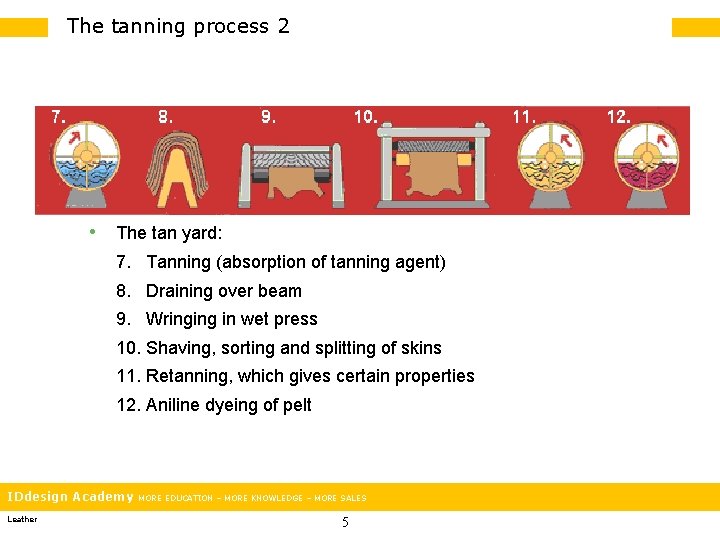 The tanning process 2 • The tan yard: 7. Tanning (absorption of tanning agent)