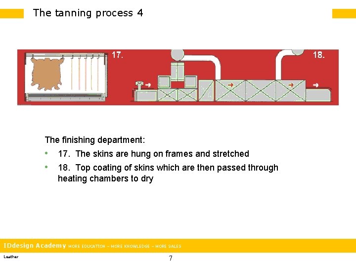 The tanning process 4 The finishing department: • 17. The skins are hung on