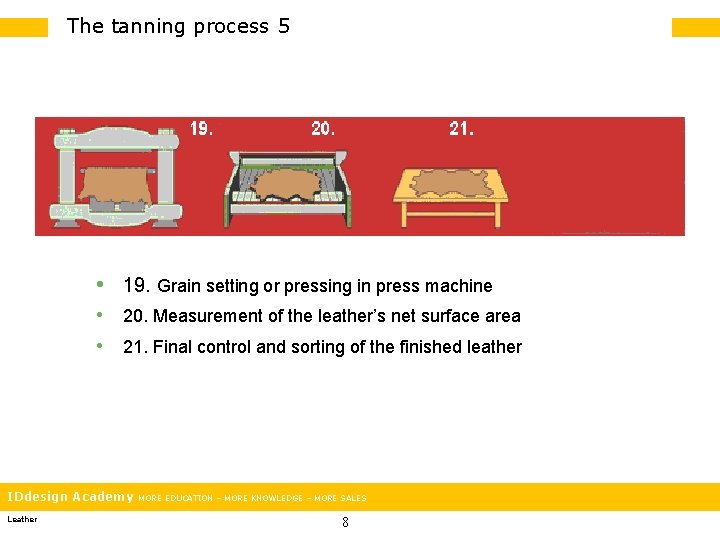 The tanning process 5 • 19. Grain setting or pressing in press machine •