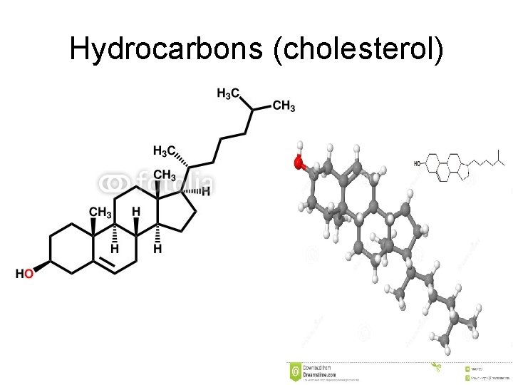 Hydrocarbons (cholesterol) 