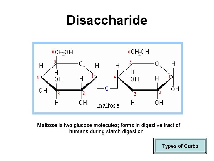Disaccharide Maltose is two glucose molecules; forms in digestive tract of humans during starch