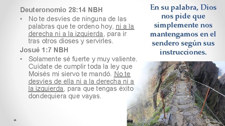 Deuteronomio 28: 14 NBH • No te desvíes de ninguna de las palabras que