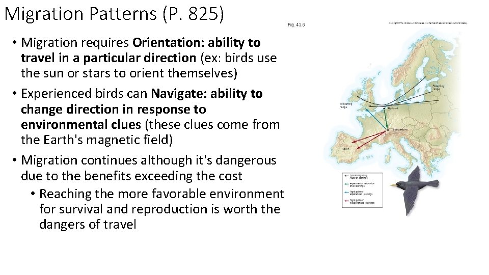 Migration Patterns Examples Segment 10 Illustrative Examples Part 3 3 E