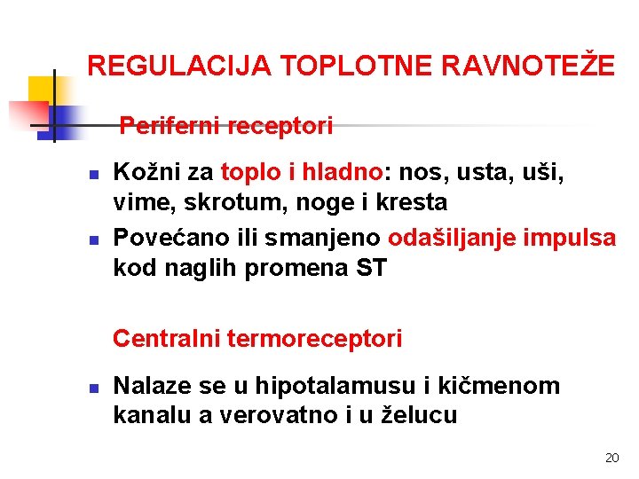 REGULACIJA TOPLOTNE RAVNOTEŽE Periferni receptori n n Kožni za toplo i hladno: nos, usta,