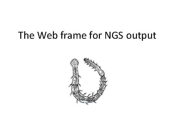The Web frame for NGS output 