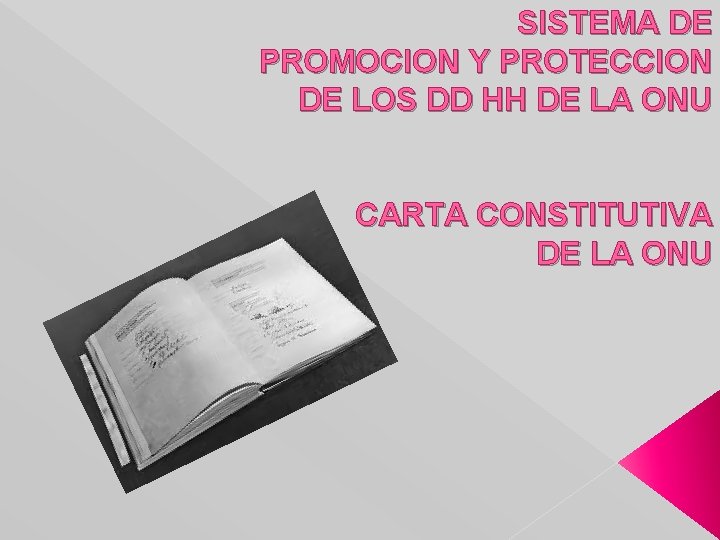 SISTEMA DE PROMOCION Y PROTECCION DE LOS DD HH DE LA ONU CARTA CONSTITUTIVA