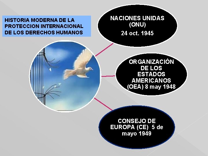 HISTORIA MODERNA DE LA PROTECCION INTERNACIONAL DE LOS DERECHOS HUMANOS NACIONES UNIDAS (ONU) 24