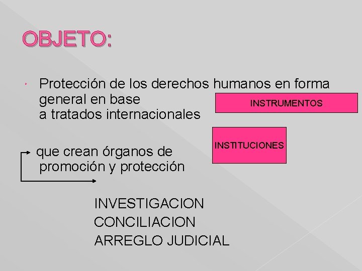 OBJETO: Protección de los derechos humanos en forma general en base INSTRUMENTOS a tratados