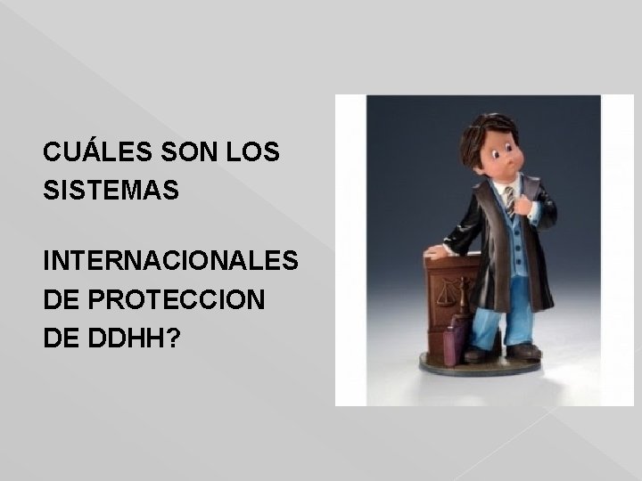 CUÁLES SON LOS SISTEMAS INTERNACIONALES DE PROTECCION DE DDHH? 