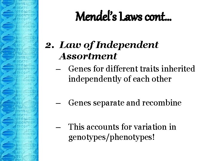 Mendel’s Laws cont… 2. Law of Independent Assortment – Genes for different traits inherited