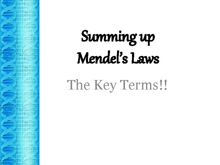 Summing up Mendel’s Laws The Key Terms!! 