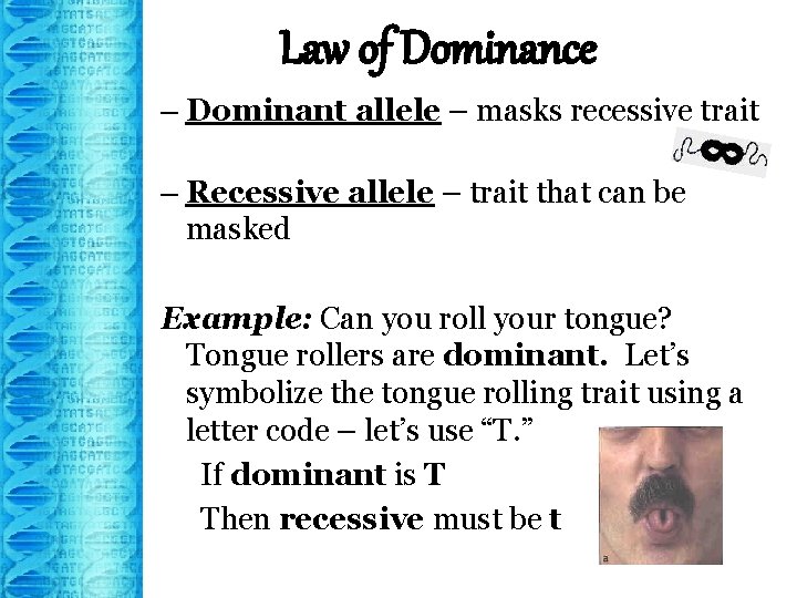 Law of Dominance – Dominant allele – masks recessive trait – Recessive allele –