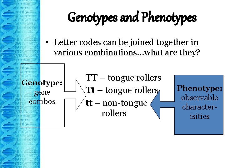 Genotypes and Phenotypes • Letter codes can be joined together in various combinations…what are