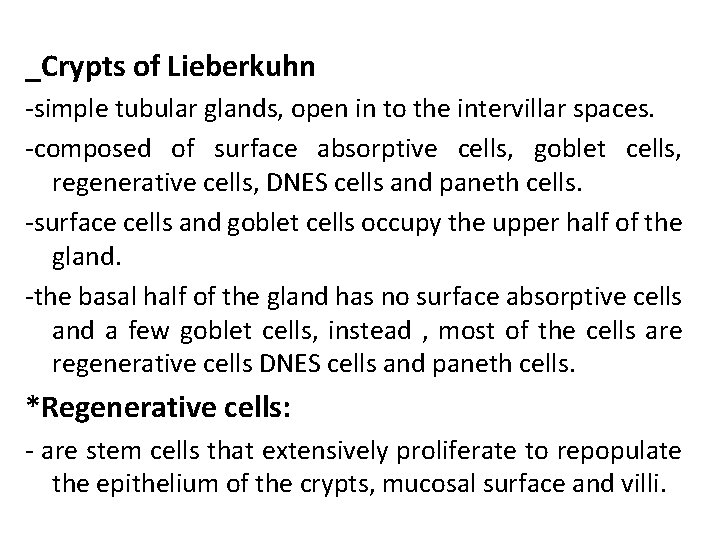 _Crypts of Lieberkuhn -simple tubular glands, open in to the intervillar spaces. -composed of