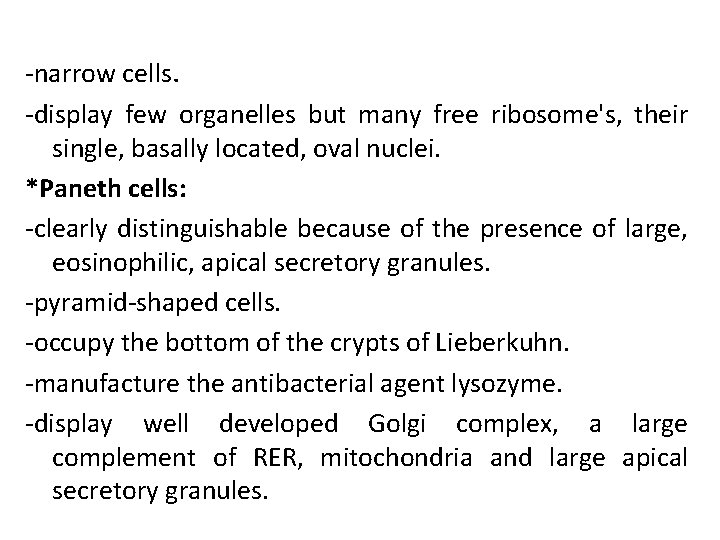 -narrow cells. -display few organelles but many free ribosome's, their single, basally located, oval