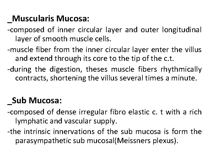_Muscularis Mucosa: -composed of inner circular layer and outer longitudinal layer of smooth muscle