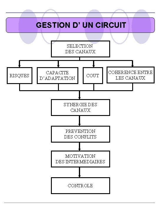 GESTION D’ UN CIRCUIT SELECTION DES CANAUX RISQUES CAPACITE D’ADAPTATION COUT SYNERGIE DES CANAUX