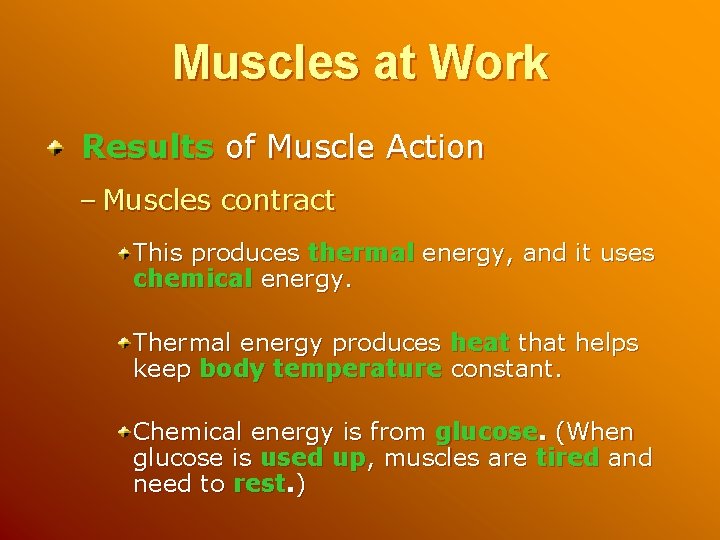 Muscles at Work Results of Muscle Action – Muscles contract This produces thermal energy,