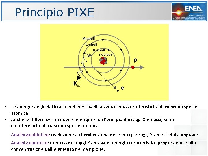 Principio PIXE • Le energie degli elettroni nei diversi livelli atomici sono caratteristiche di