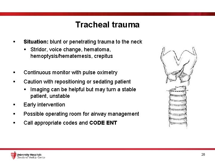 Tracheal trauma § Situation: blunt or penetrating trauma to the neck § Stridor, voice